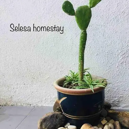 The Green @Selesa Hillhomes Bukit Tinggi Bentong Exterior photo