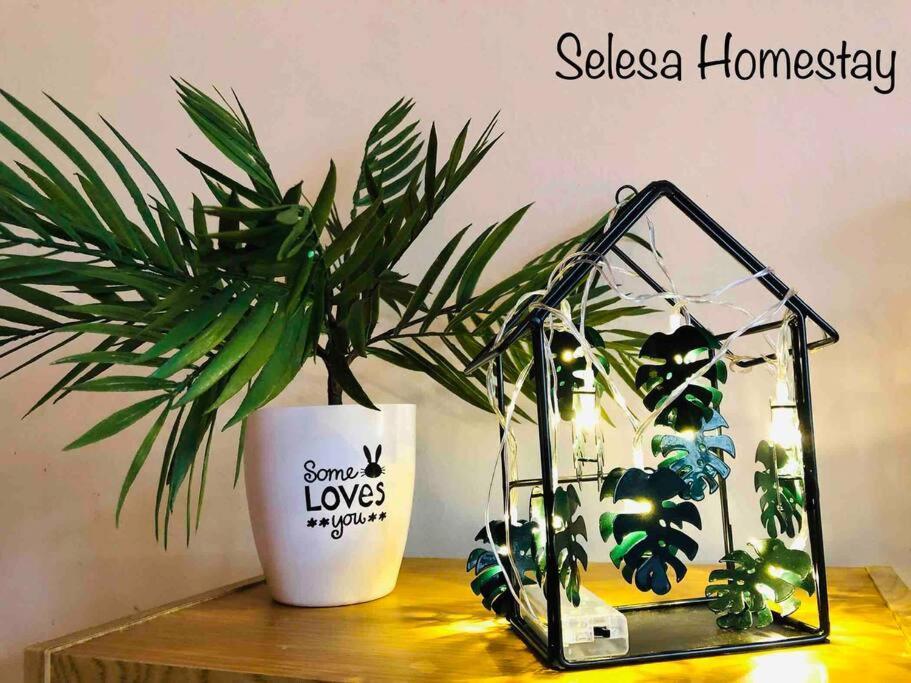 The @selesa Hillhomes Bukit Tinggi *