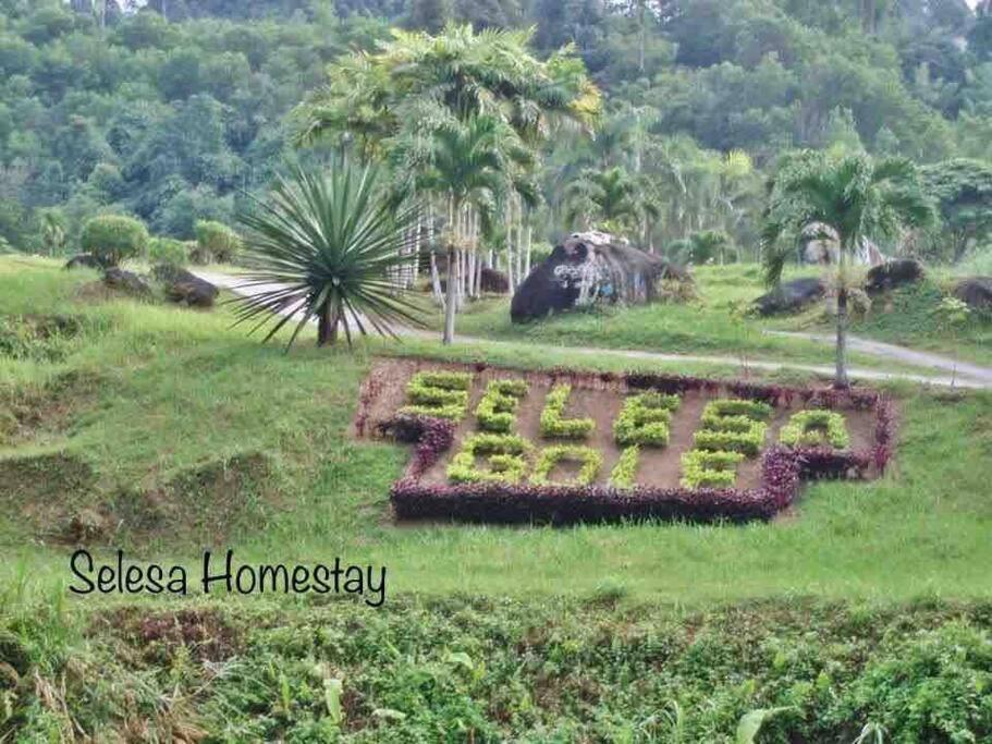 The @selesa Hillhomes Bukit Tinggi Apartment Bentong