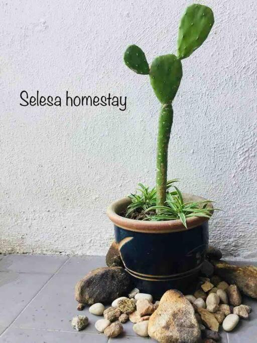 The @selesa Hillhomes Bukit Tinggi